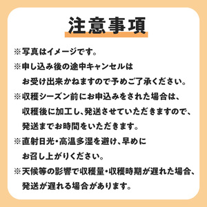 【先行受付】沖永良部島の甘くて美味しい無添加ドライフルーツ（パパイヤ）30g×5袋 W051-008u 加工品 果物