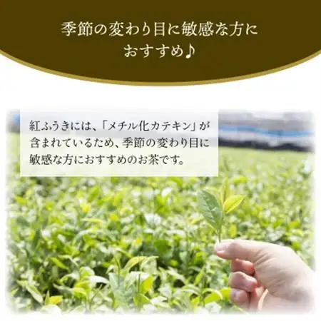 【けやき製茶】紅ふうき紅茶ティーバッグ5本セット【1185816】