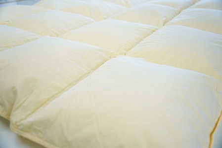 【訳あり】 リサイクル羽毛掛布団　白州洗いのリサイクル羽毛ダウン90％使用　羽毛量1.24kg　冬掛けシングルサイズ [h126]