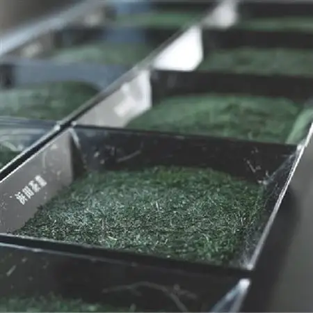 ギフトにおすすめ!知覧茶3本セット【1185803】