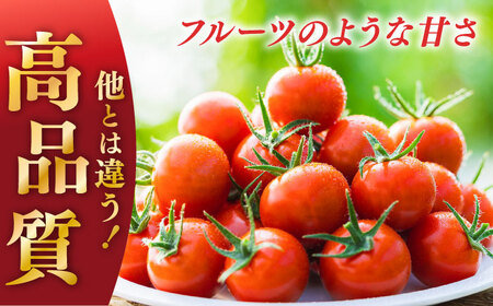 【先行予約】V トマト 糖度8度以上 800g【株式会社ブイ・テクノロジー】 [AKBL004]