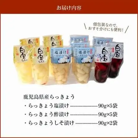 鹿児島県産砂丘らっきょうプレミアムセット【1185821】