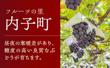 内子夢わいん 赤ワイン (ベリーA) 約720ml 1本 BKAG006