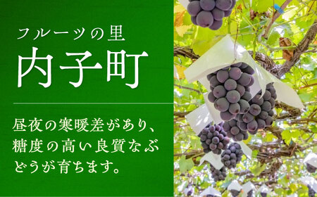 白ワイン (ロザリオ) 約720ml 1本 BKAG012 ワイン