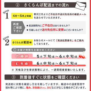 【先行予約】令和8年産 山形県産 こだわり農家の新鮮 さくらんぼ 500g 2Lサイズ 秀品「紅秀峰」 生産者直送 【2026年6月中旬頃から6月下旬頃】※ 配送不可 沖縄・離島　020-A-JF022