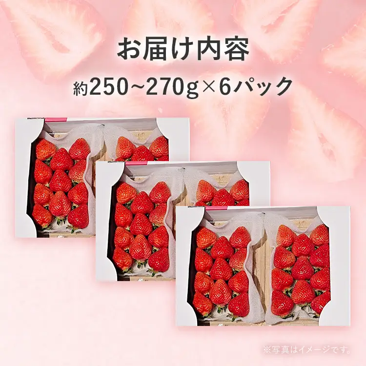 【2027年発送先行予約】あまおうボリュームセット(約250‐270g x G6パック) お取り寄せグルメ お取り寄せ 福岡 お土産 九州 福岡土産 取り寄せ グルメ 福岡県