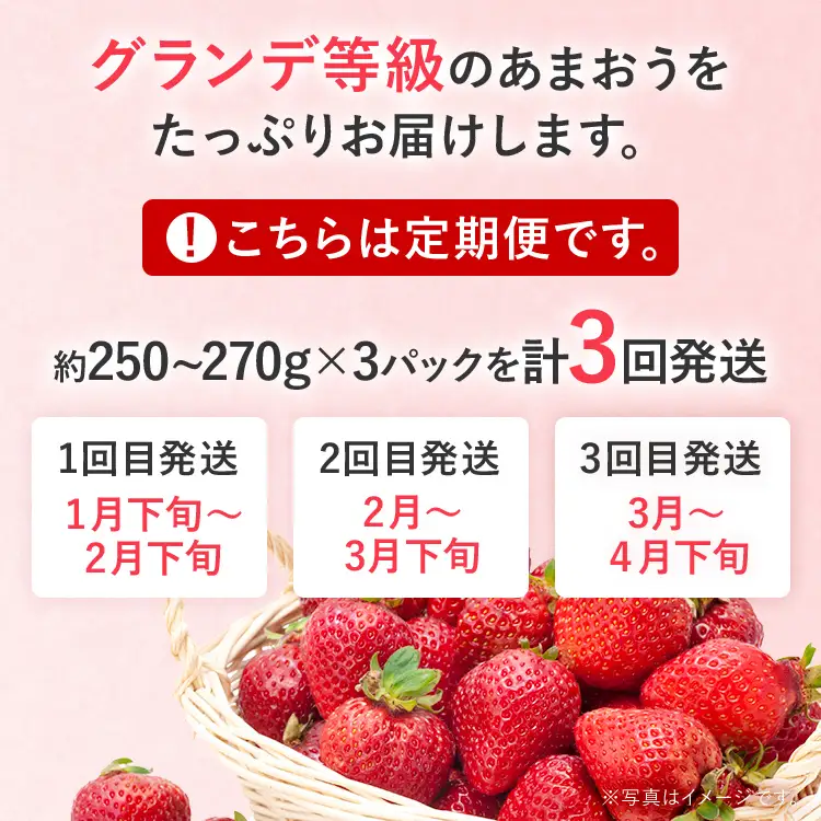 【2027年先行いちご定期便】 あまおう 3パックｘ3回 （1月下旬～、2月～、3月～発送）お取り寄せグルメ お取り寄せ 福岡 お土産 九州 福岡土産 取り寄せ グルメ 福岡県