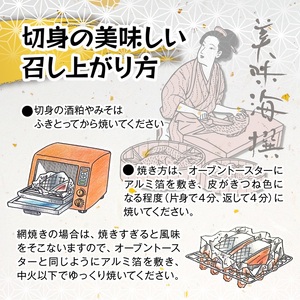 a10-1010　訳あり！！お楽しみ！バラエティ漬魚10パックセット 訳あり
