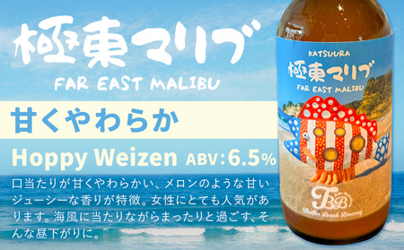 クラフトビール 3種 醸造長おまかせ飲み比べセット 瓶330ml 6本 千葉県 勝浦市 にある 醸造所より 直送 MAXIMUS.WORK 株式会社《30日以内に出荷予定(土日祝除く)》千葉県 勝浦市 クラフトビール ビール 飲み比べ【配送不可地域あり】(離島)