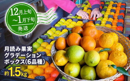 【年4回定期便】にしだ果樹園の熊本県産季節の月読みフルーツ定期便