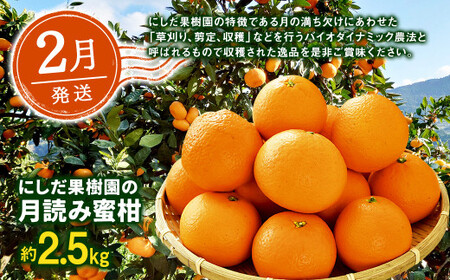 【年3回定期便】熊本の果樹園こだわりフルーツ定期便