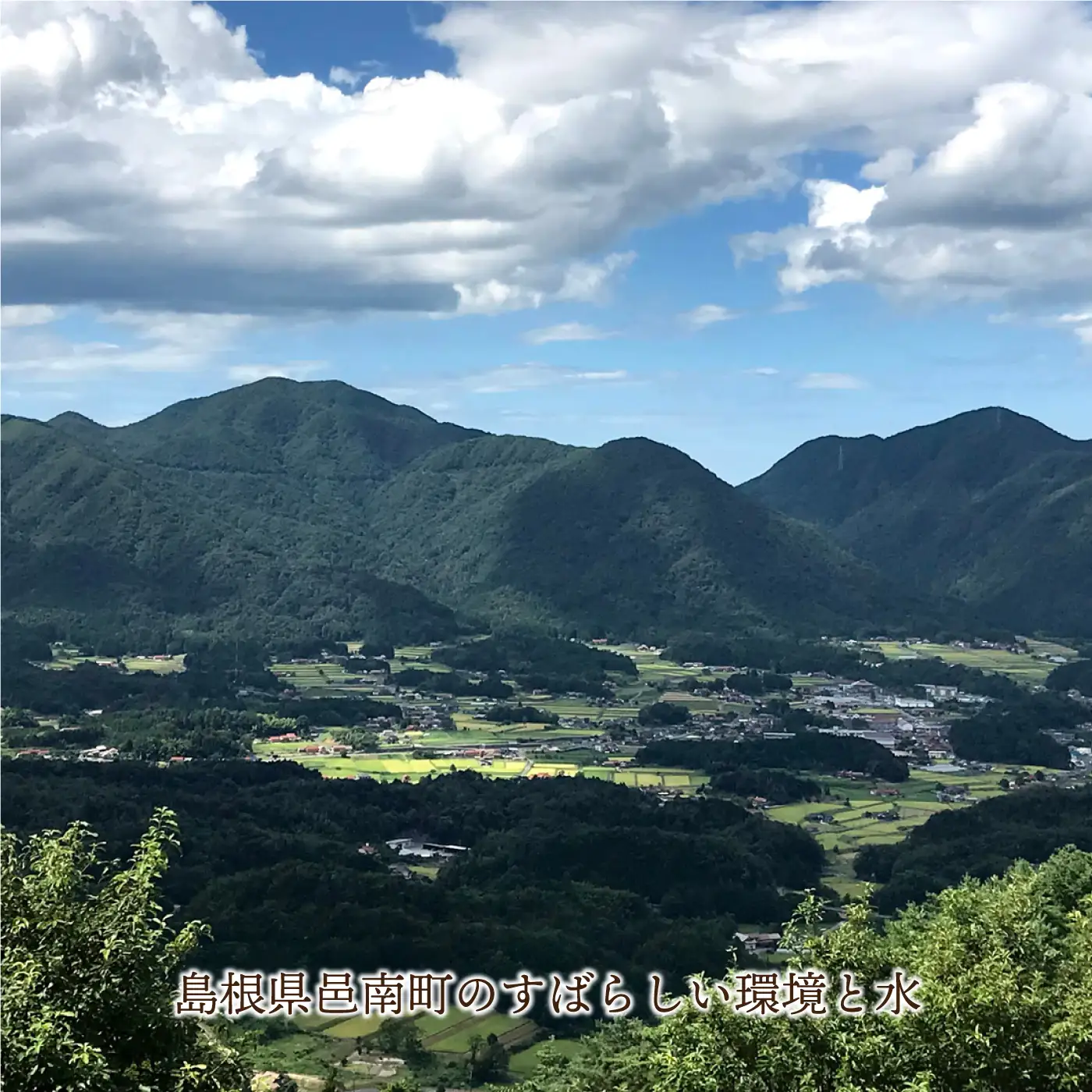 令和7年産 有機JAS認証米 有機於保地米 つや姫10kg（5kg×2袋）