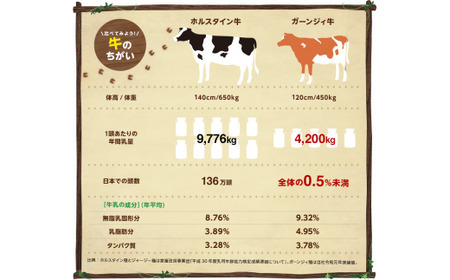 【定期便6ヵ月】南ヶ丘牧場 アイスクリーム 12個セット スイーツ アイス 高級アイス アイスクリーム 詰め合わせ 乳牛 冷凍 栃木県 那須町〔P-171〕