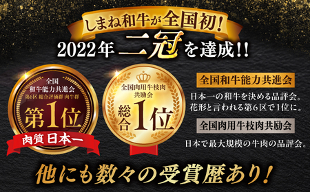 しまね和牛 ハンバーグ 120g 冷凍 8個 [ALGF005] ハンバーグ