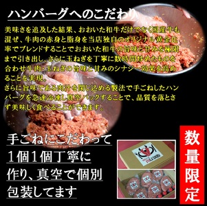 おおいた和牛入り「肉は別腹」ハンバーグ 【おおいた和牛 肉は別腹 ハンバーグ はんばーぐ 肉 牛肉 ソース付き 惣菜 チルド 内閣総理大臣賞 厳選 贅沢 ご褒美 オリジナル 黄金比率 手ごね 急速冷凍 真空パック おかず 晩ご飯 お取り寄せ グルメ 詰め合わせ 大分県 別府市 送料無料】_B172-001