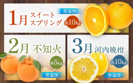 旬のフルーツ 定期便 12ヶ月