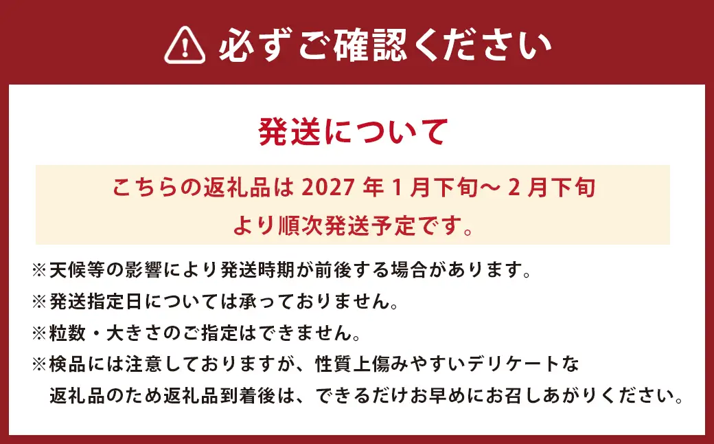 パール柑 【規格外品】ご家庭用 約10kg サイズ不選別 【2027年1月下旬～2月下旬迄発送予定】