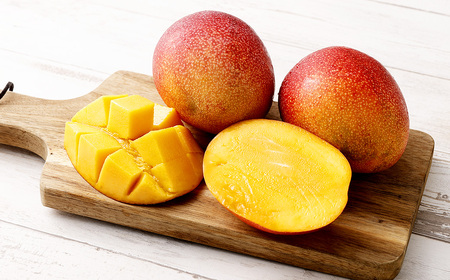 ＜宮崎県産完熟マンゴー 4L×1玉（510g以上）＞2026年4月中旬～7月下旬までに順次出荷【MM-f-002】