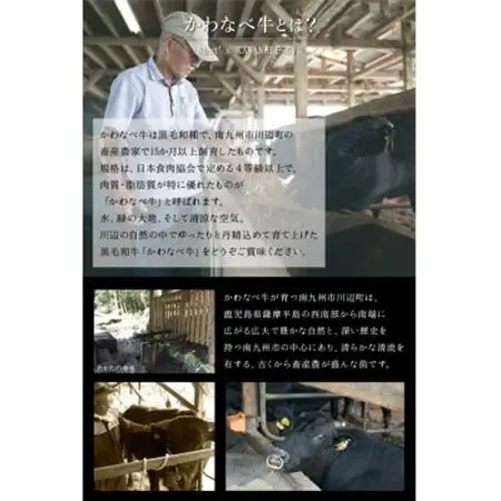 数量限定!かわなべ牛ハラミ・牛タンセット【配送不可地域：離島】【1185840】