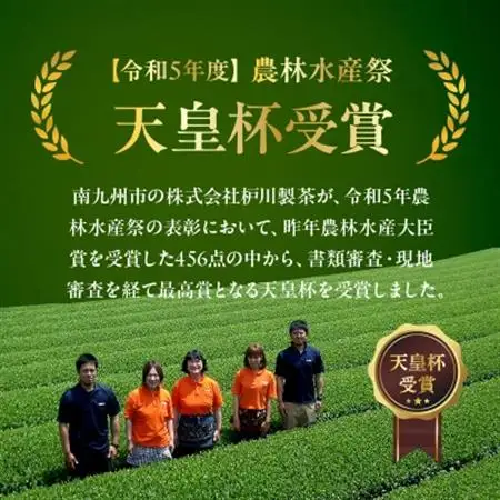 心まで染みる特上知覧茶10本+粉末緑茶セット【1185847】