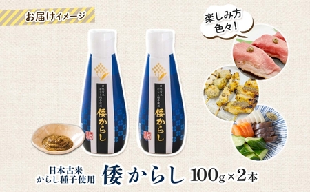  美ノ久 倭からし 100g×2本 和カラシ 和からし からし 調味料 アレンジ 香辛料 風味豊か 肉料理 野菜料理 魚料理 浅漬け 漬物 常備 すっきり 辛い 馴染みやすい 使いやすい 便利 万能 万能調味料 お取り寄せ ご当地 送料無料 岐阜県 安八町