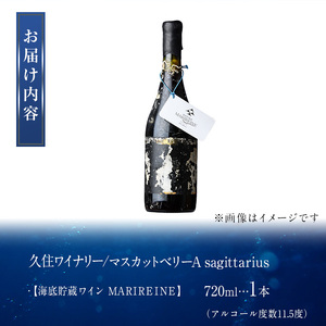 海底貯蔵ワイン 赤 MARIREINE マスカットベリーA sagittarius2022(720ml・1本)久住ワイナリー ワイン 赤ワイン 酒 パーティー マリレーヌ 海底酒 熟成 大分県 佐伯市【FP021】【フルタ酒店】