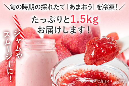 冷凍あまおう1.5kg お取り寄せグルメ お取り寄せ 福岡 お土産 九州 福岡土産 取り寄せ グルメ 福岡県