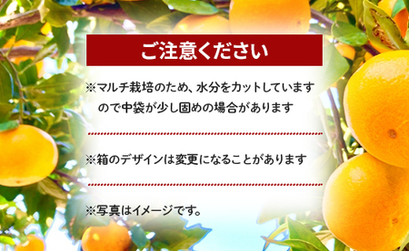 【2026年11月より順次配送】山北みかん マルチ みかん be-0108