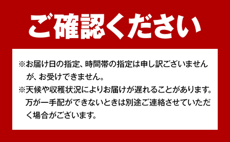 【2026年先行予約】岡山県産 ピオーネ 2房 約500g×2 晴れの国 晴れの国 おかやま館(フルーツランド岡山)《2026年7月中旬-8月下旬頃出荷》岡山県 浅口市 マスカット ぶどう 葡萄 果物 フルーツ 送料無料【配送不可地域あり】（離島）