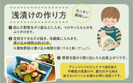 【5営業日以内に発送】ヒシク 藤安醸造 浅漬けの素 つけやったもんせ 500ml×6本 セット K026-013 調味料 スピード配送 最短 すぐ届く お急ぎ