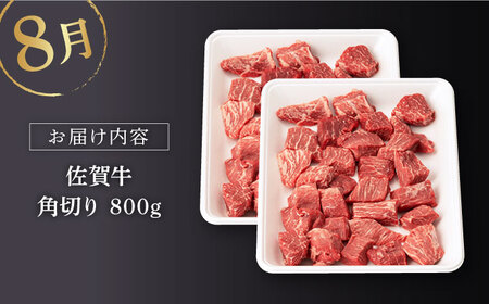 【定期便】 牛肉 佐賀牛 夏の定期便 NAB104 牛肉