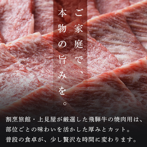 牛肉 飛騨牛 肩ロース肉 焼肉用 500g 牛 肉 肩ロース ロース 焼き肉 赤身 飛騨 F4N-0739