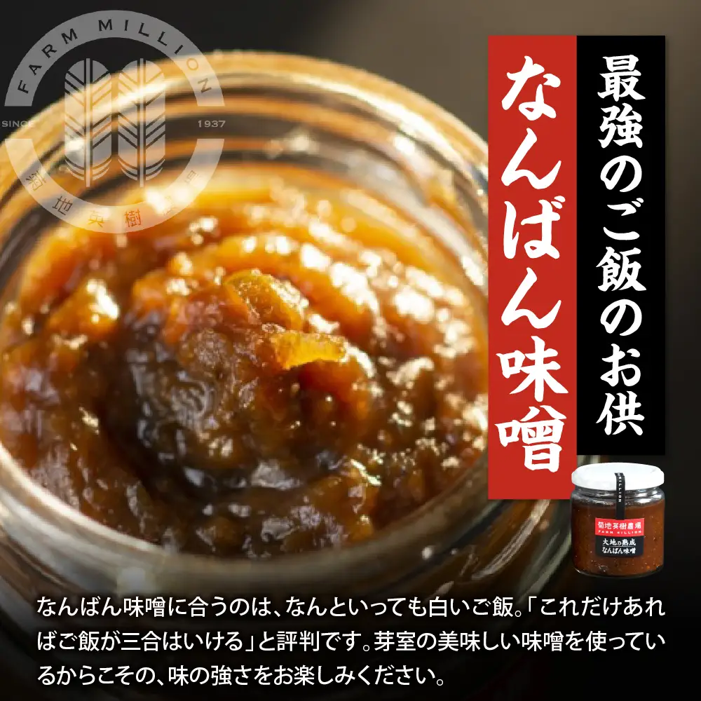 大地の熟成 手造り味噌 700g  なんばん味噌 240g セット 十勝産大豆 調味料 味噌汁 ラーメン うどん パスタ 送料無料 冷蔵発送 北海道 十勝 芽室町me016-006c