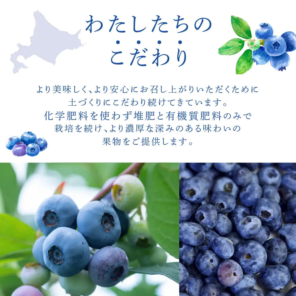 【 先行受付 】ブルーベリー ミックス 1kg 冷蔵 果物 くだもの フルーツ 旬の果物 旬のフルーツ 8品種 ミックスブルーベリー 大粒 小粒 北海道 芦別市