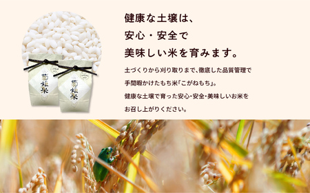 米 もち米1kg×2袋（ 高級ブランドもち米こがねもち使用）【ADATARAふぁーむ】