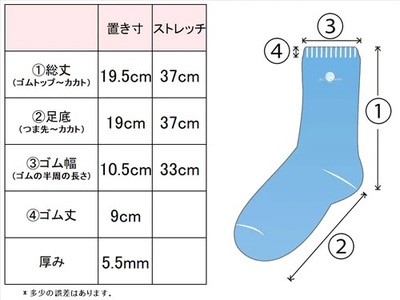BLUMON（ブルムン）アンゴラルームパイルソックス 2足セット カラーおまかせ／ 部屋着 インナー 靴下 温かい 温活 ルームソックス 冷え アンゴラ ウール 足元 靴下 くつした ソックス 日本製 奈良県 広陵町