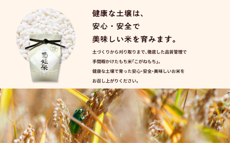 米 もち米5kg（ 高級ブランドもち米こがねもち使用）【ADATARAふぁーむ】