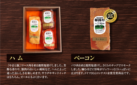【奇数月／6回定期便】 ハム・ベーコン・ソーセージ・ウインナー 肉 豚肉 福島県 田村市