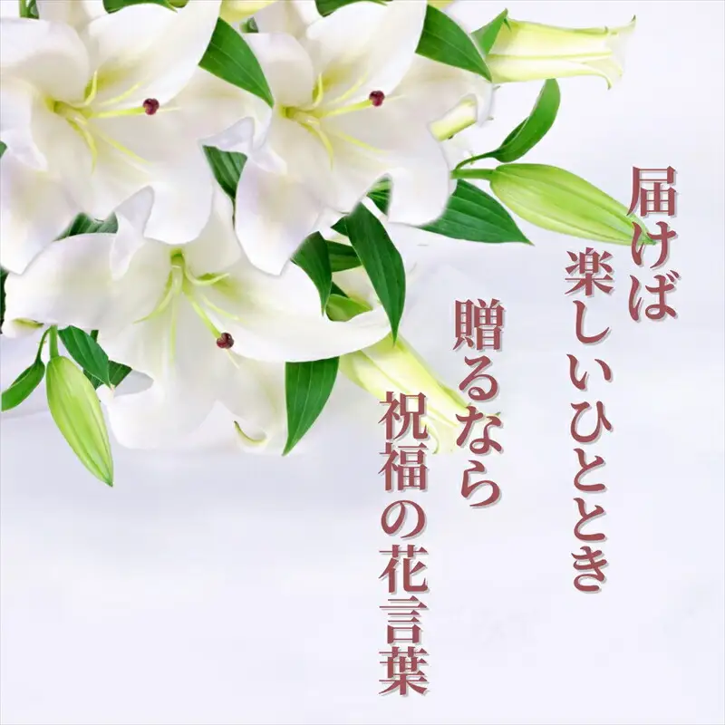 【百合の王様】【未開花/長持ち】農林水産大臣賞を受賞したフローリストがアレンジする“純白のカサブランカ”【 花 お花 神奈川県 小田原市 お花】