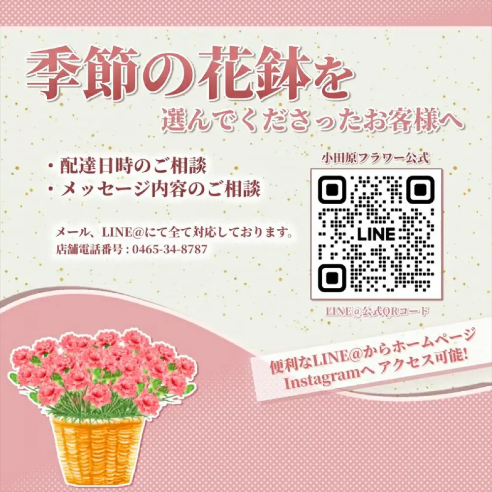 【定期便年3回　季節の花鉢】農林水産大臣賞を受賞したフローリストがアレンジする 季節を知らせる花鉢【 花 お花 神奈川県 小田原市 お花】