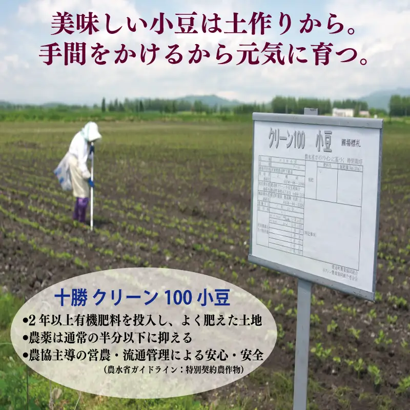 【創業80年】赤こし餡 合計 2kg 小分け 1kg×2P