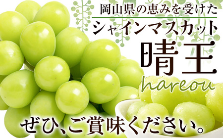 【2026年発送】シャインマスカット 晴王 約1.1kg 晴レ乃青果　(岡山中央卸売市場店(富士紙工 有限会社)) シャインマスカット