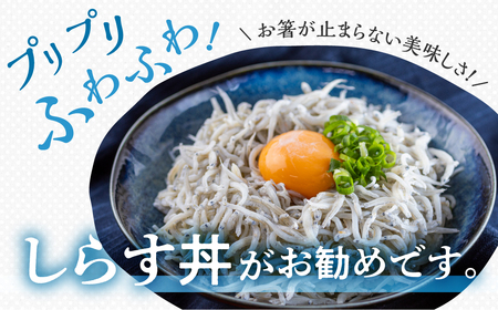 【訳あり】しらす 2kg 無選別 訳あり