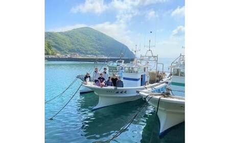 【愛媛県・佐田岬直送】木嶋水産の釜揚げしらす（2kgパック） 釜揚げしらす しらす シラス 海産物 ごはんのお供 おつまみ 料理 塩分控えめ お取り寄せ グルメ 冷凍 国産 ※着日指定不可【えひめの町（超）推し！（伊方町）】（285）