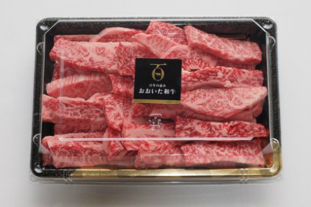 おおいた和牛と米の恵み豚のスタミナ焼肉対決/計1kg _1216R