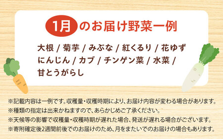 高槻野菜詰め合わせ 1月（10〜15種）＆農家さん自家製ゆず果汁[AOCS003] 野菜