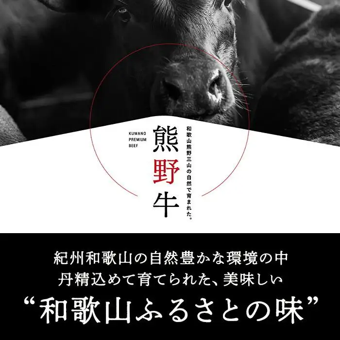 熊野牛 トマホーク 900g【MT49】