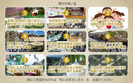 【返礼品なし】沖縄県本部町ふるさと応援寄附金 10000円 寄附のみの応援 寄附のみ 返礼品なし 返礼品無し　御礼品なし　御礼品無し
