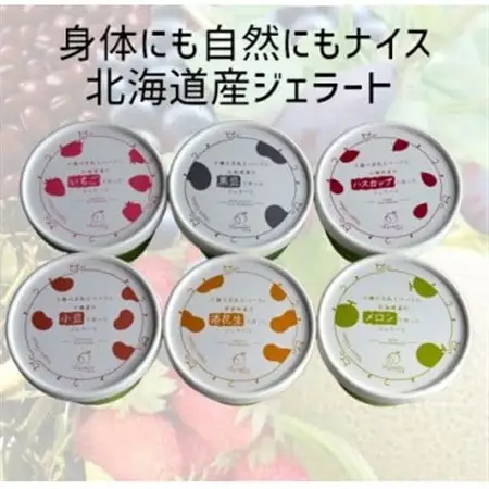 北海道産ヴィーガンジェラート　6個セット_菓子・スイーツ アイス・ジェラート  _【配送不可地域：離島】【1467716】