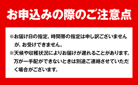 岡山白桃 約900g 晴れの国おかやま館(漂流岡山) 【配送不可地域あり】